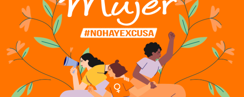 Campaña Provincial "No Hay Excusa"