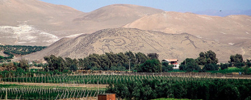 Misión Valle de Azapa