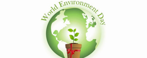Oración para el 6 de junio: Jornada mundial  del medio ambiente