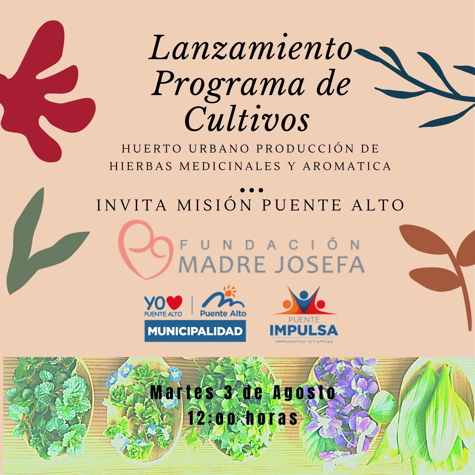 Invitacion al lanzamiento de huerto urbano